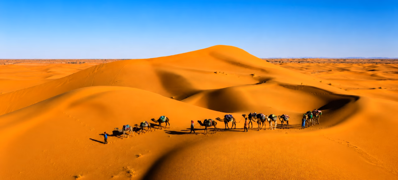 Camel caravan crossing the Merzouga dunes on the 5 days tour from Tangier to Marrakech.