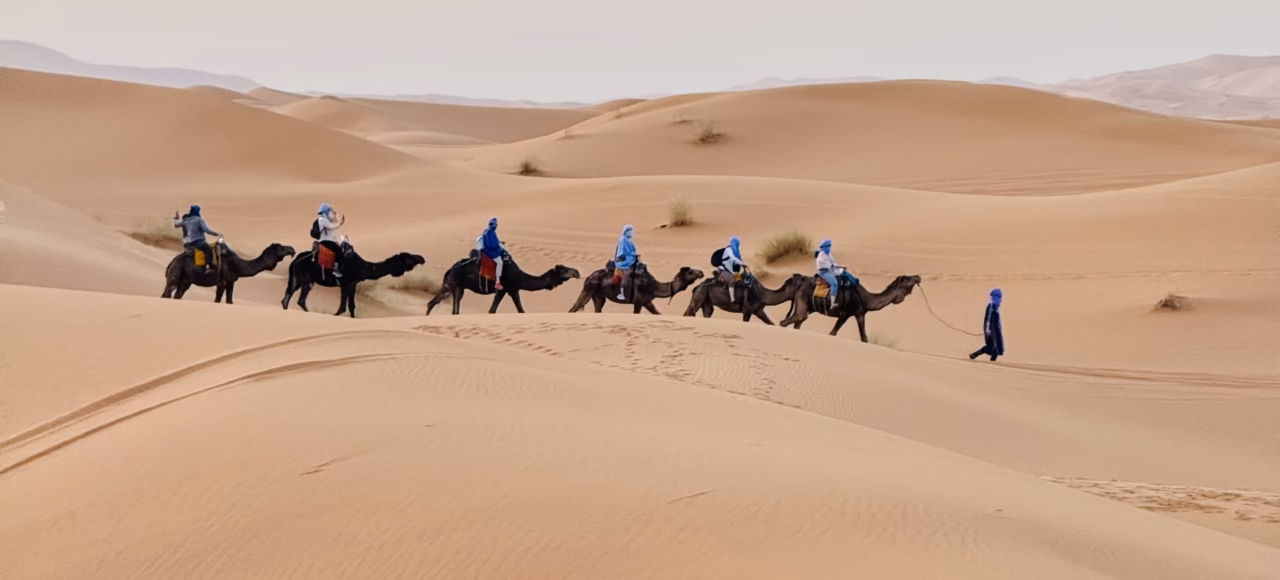 camels on sand dunes 8 day Morocco itinerary from Marrakech8 day Morocco itinerary from Marrakech
