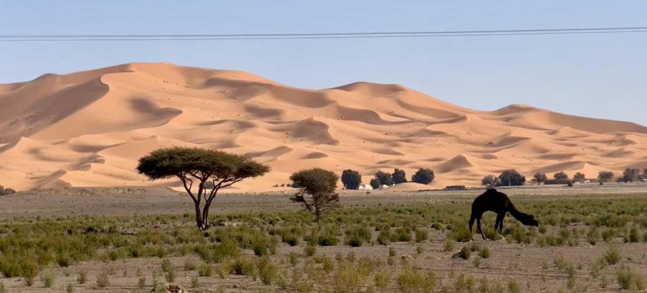 image00059 6 day desert tour from Marrakech