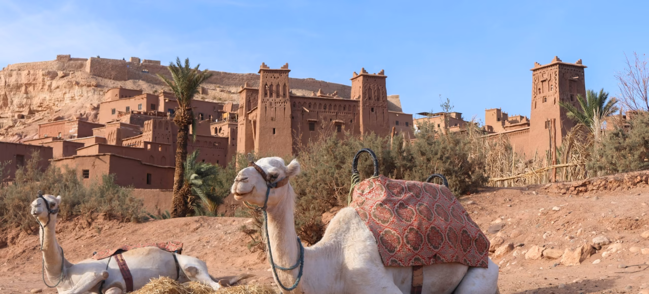 Camels in Ait Benhaddou Kasbah Ancient Ait Ben Haddou kasbah on the road to the Sahara