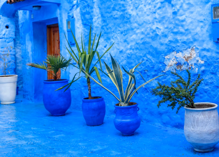 Blue-painted streets of Chefchaouen during the first day from Tangier.