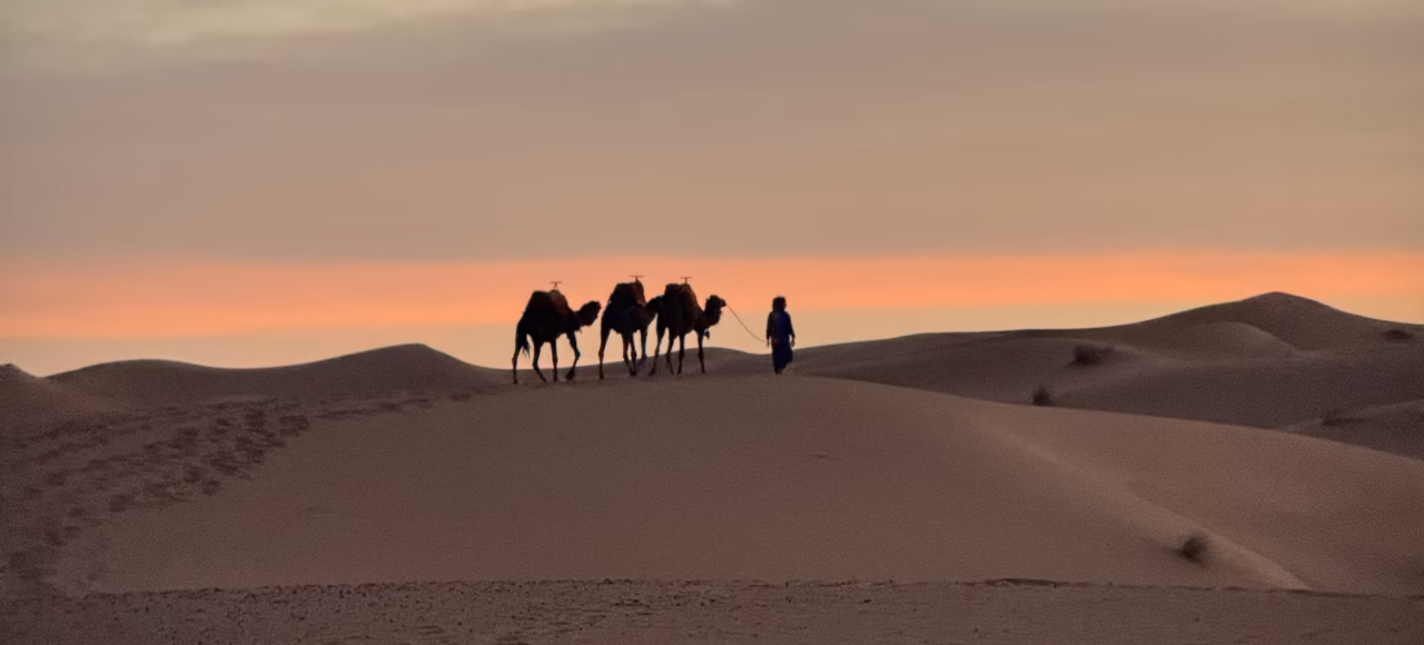 sunset camels 2 Days Tour from Fes to Merzouga and Back