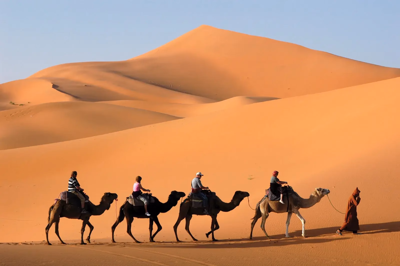 Camel caravan crossing the Erg Chebbi dunes near Merzouga, Morocco